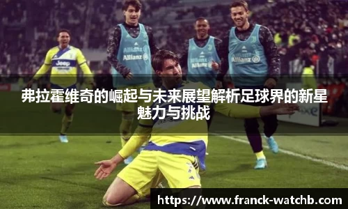弗拉霍维奇的崛起与未来展望解析足球界的新星魅力与挑战